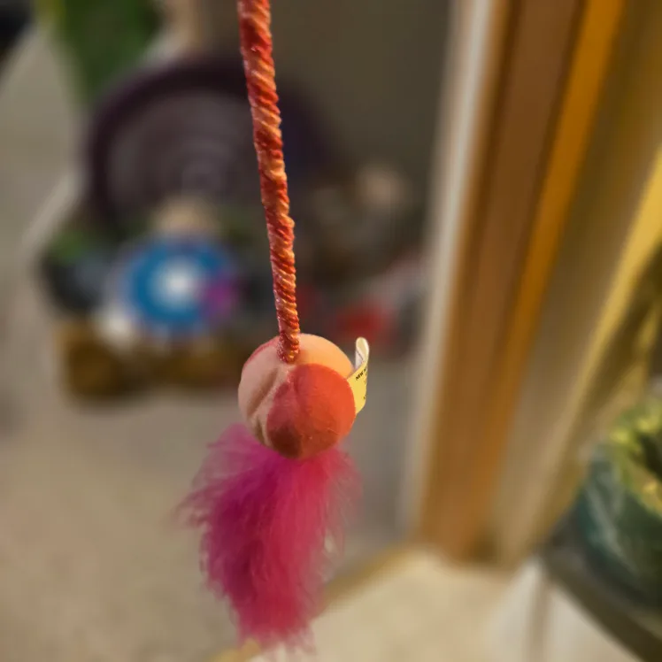 Cat Wand Toy with Feather Attachment thumbnail