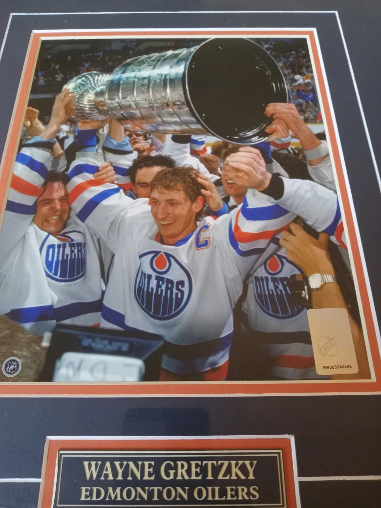 Wayne Gretzky Edmonton Oilers Framed Pictures image indicator(7)