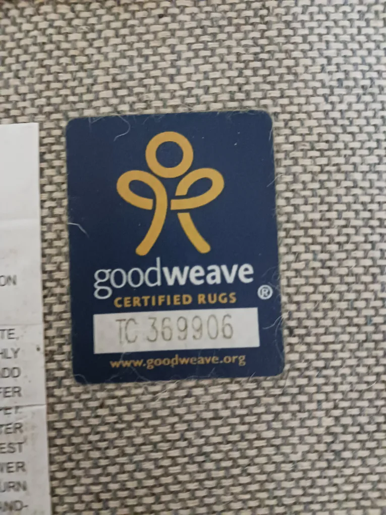 Area Rug w/ Fringe – Beige w/ Gray Stripes (Needs Cleaning) image indicator(8)