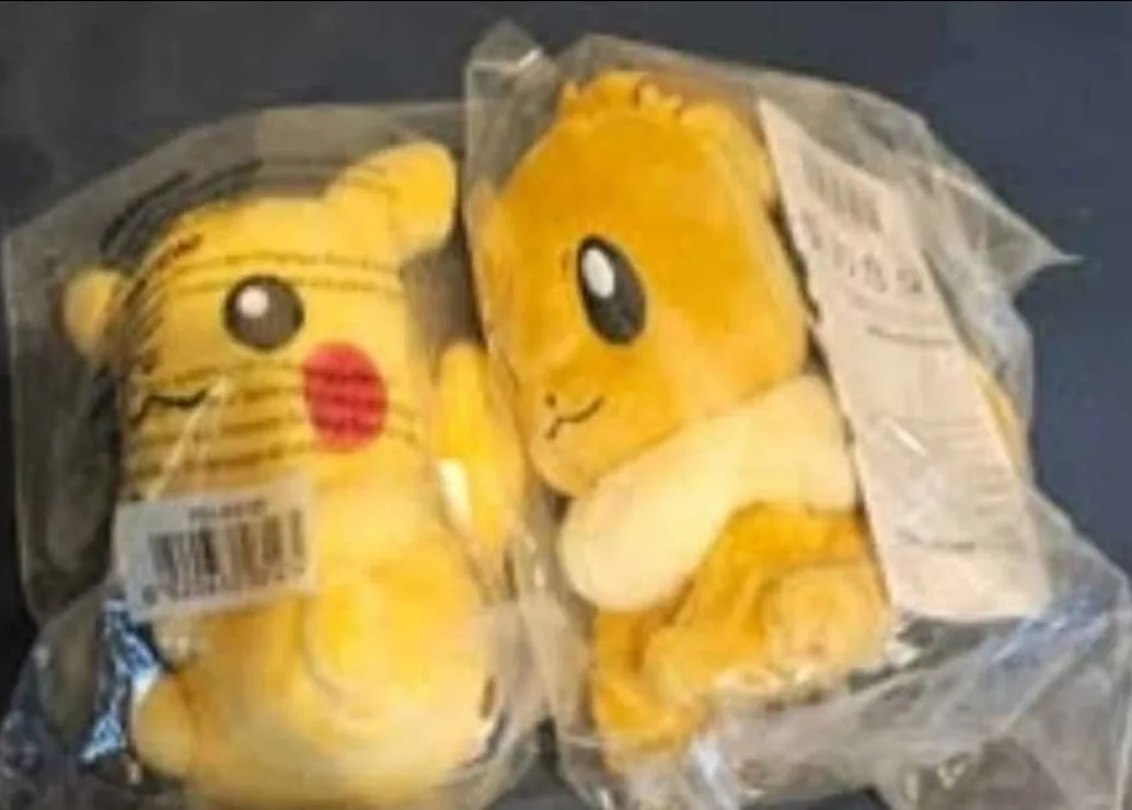 Pokemon Center Plushies Eevee and Pikachu (Both Sealed) image indicator(2)