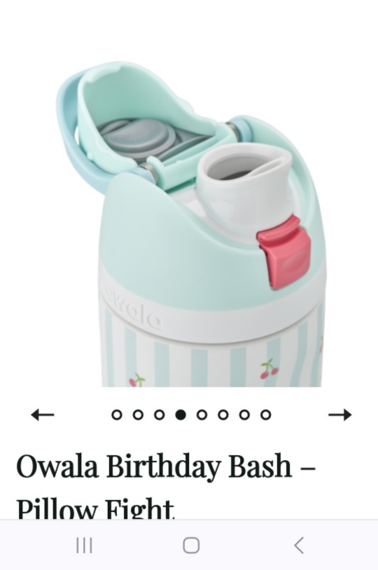 Owala Birthday Bash Pillow Fight Water Bottle - photo 4