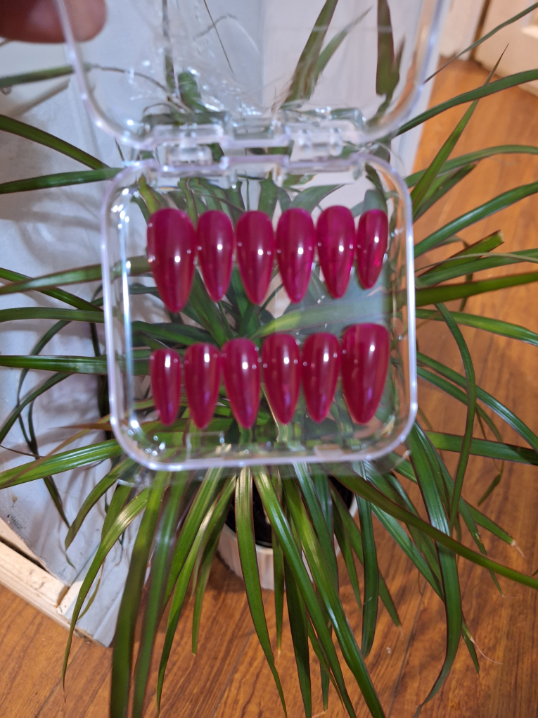 Burgundy Press-On Nails - New! - photo 2