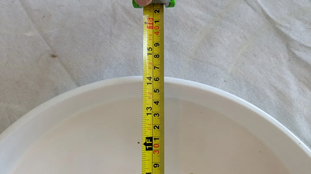 Rose All Day Serving Tray image indicator(5)