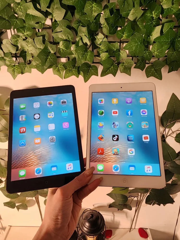 Apple iPad Mini - Black & White image indicator(2)