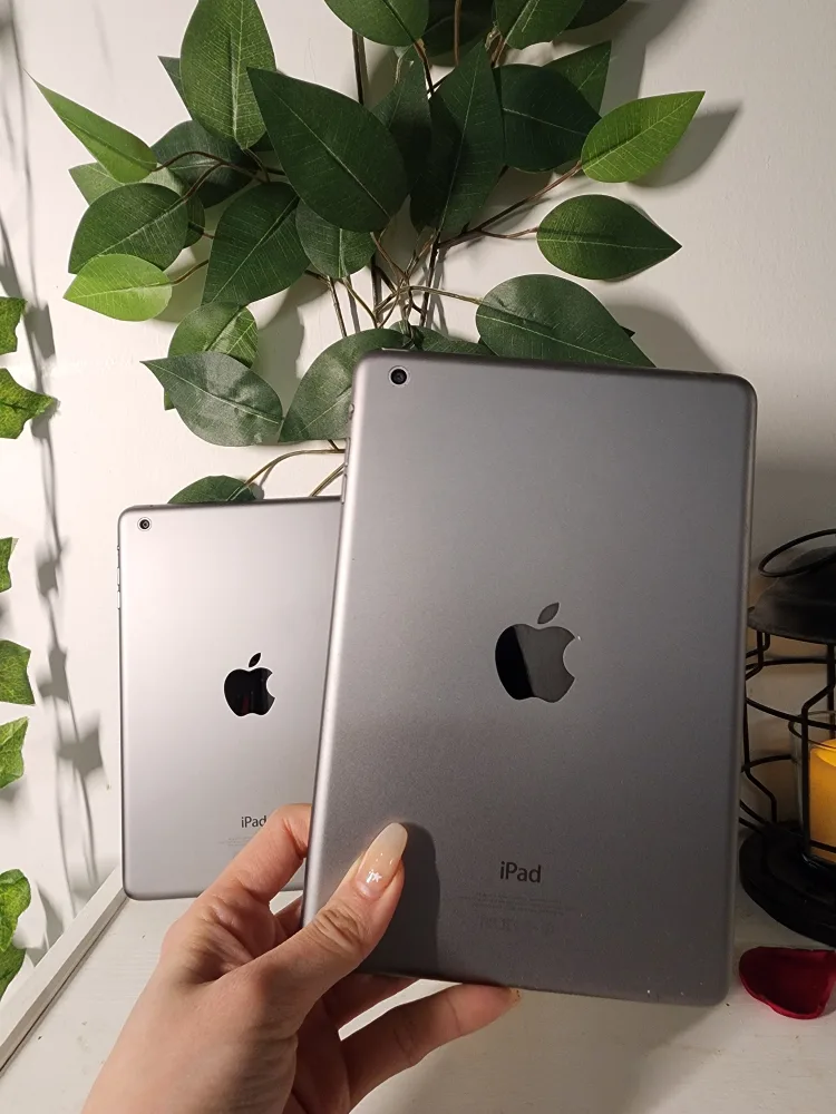 Apple iPad Mini - Black & White image indicator(3)