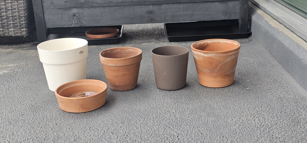 Selection of Flower Pots