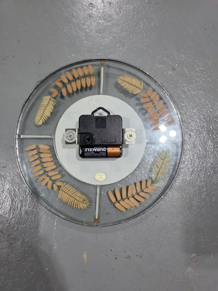 Westclox Round Wall Clock with Leaf Design 🧡 image indicator(2)