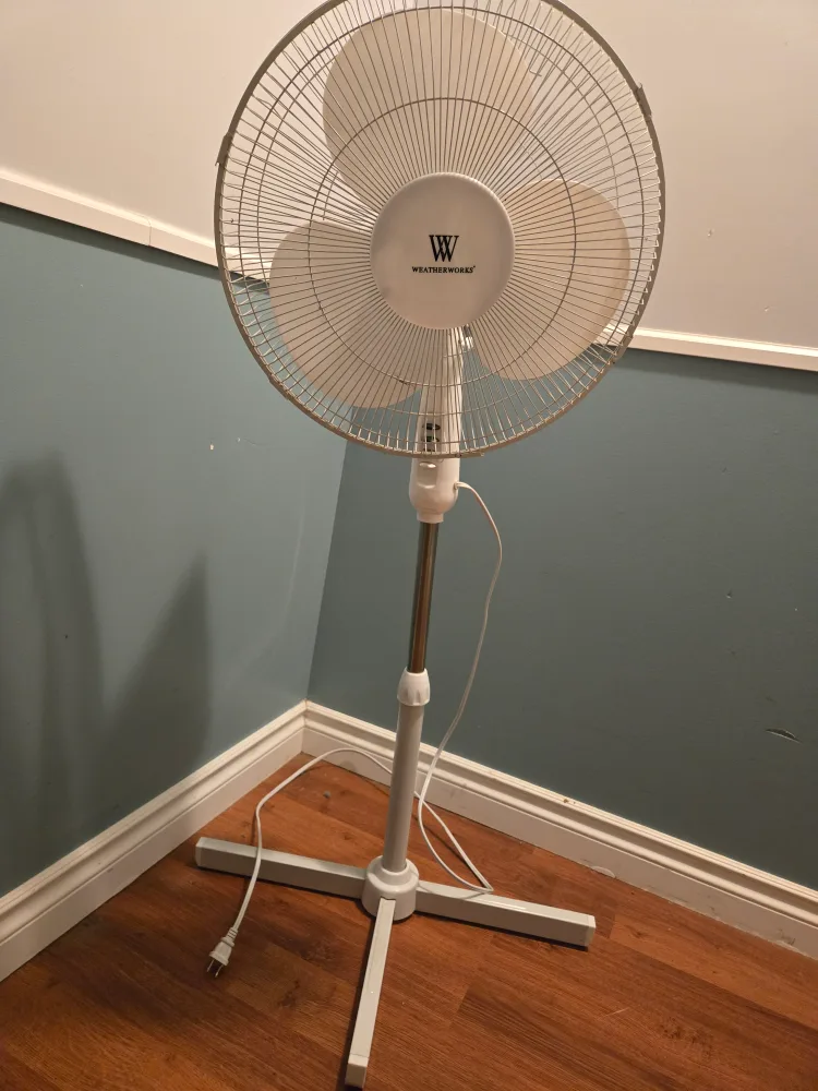 White Standing Fan🥕 thumbnail