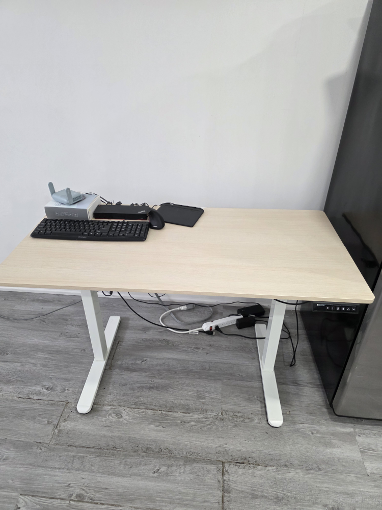Adjustable Standing Desk - photo 3
