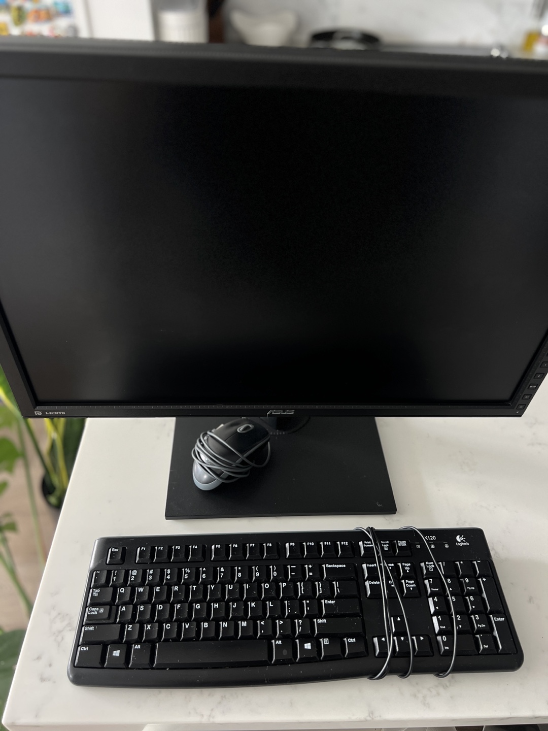 WFH set up — ASUS ProArt Monitor & Logitech Keyboard/Mouse - photo 2