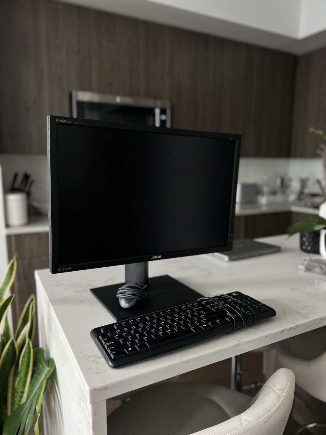 WFH set up — ASUS ProArt Monitor & Logitech Keyboard/Mouse