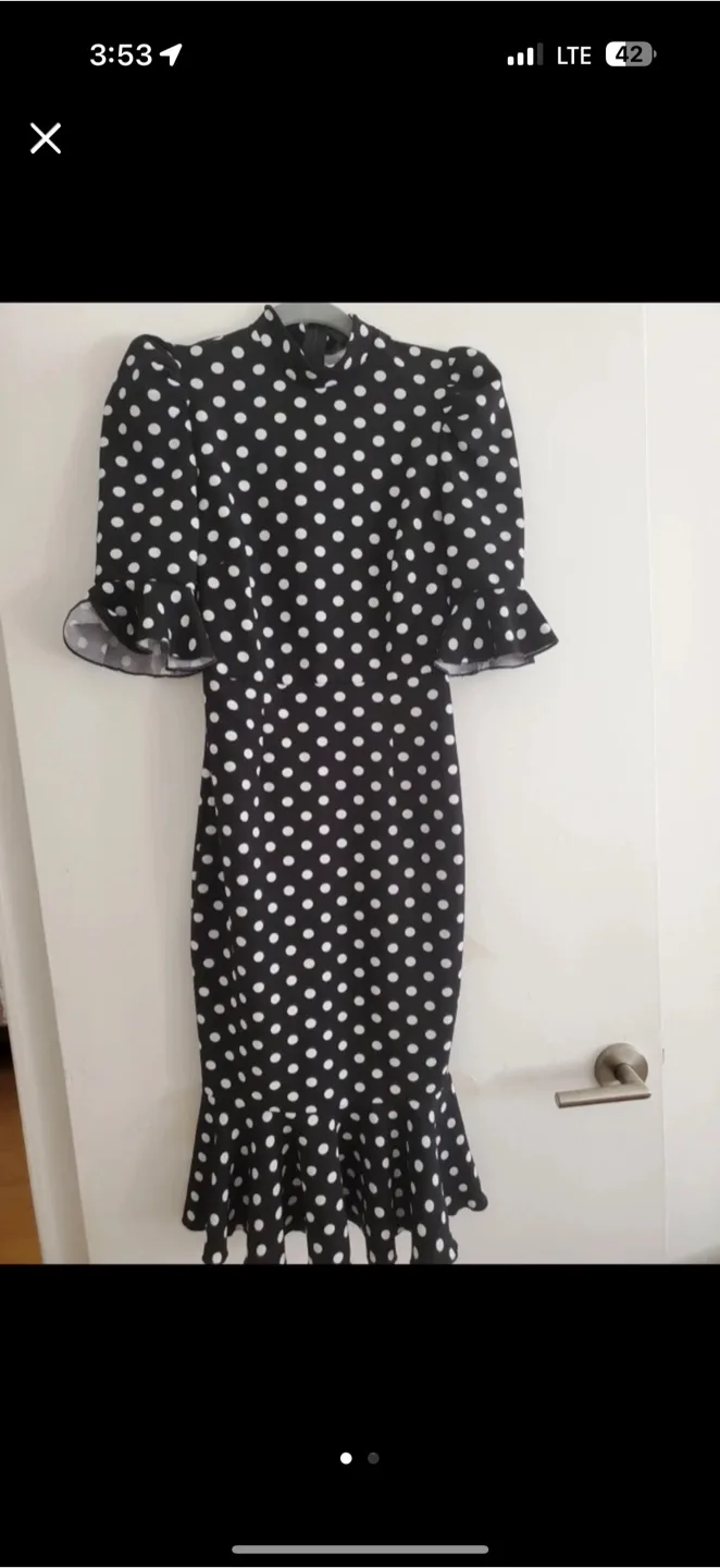 Polka Dot Midi Dress image indicator(2)