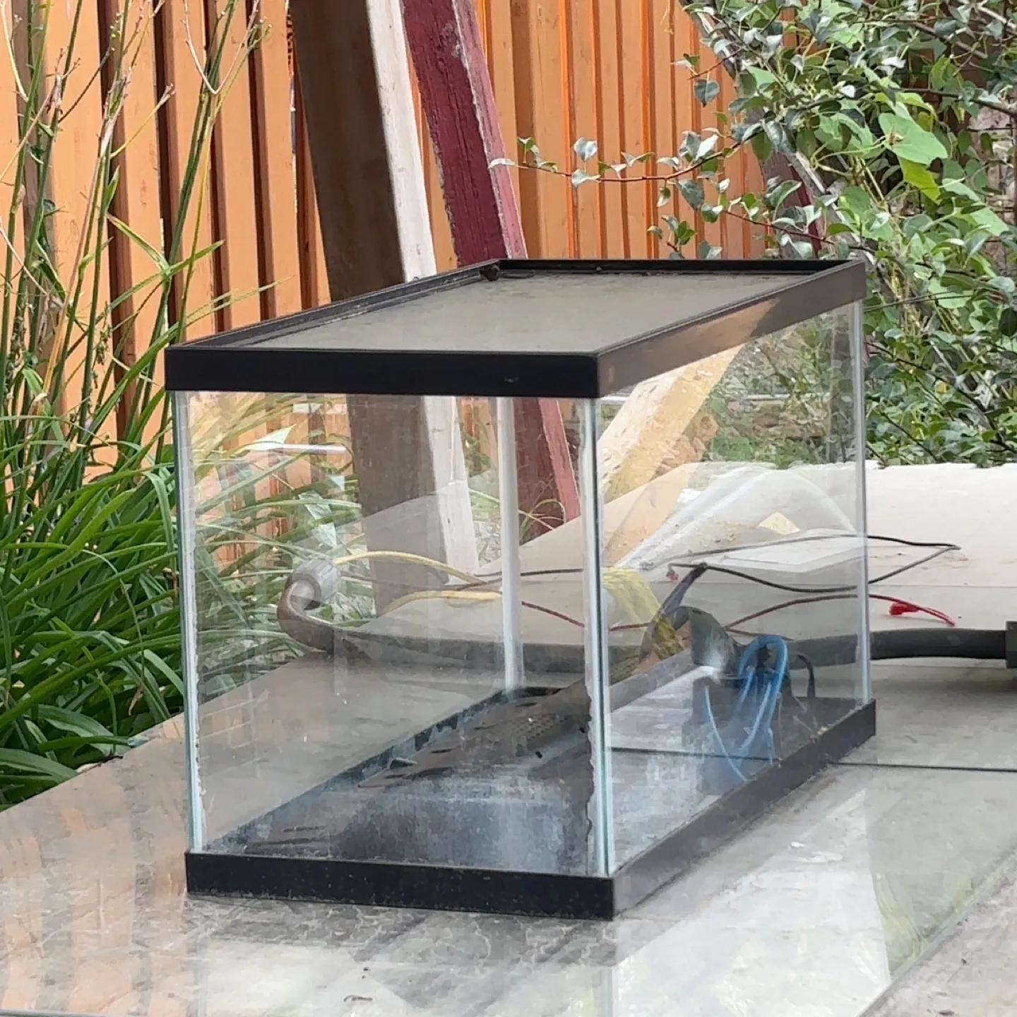 10 Gallon Fish Tank with air pump image indicator(2)