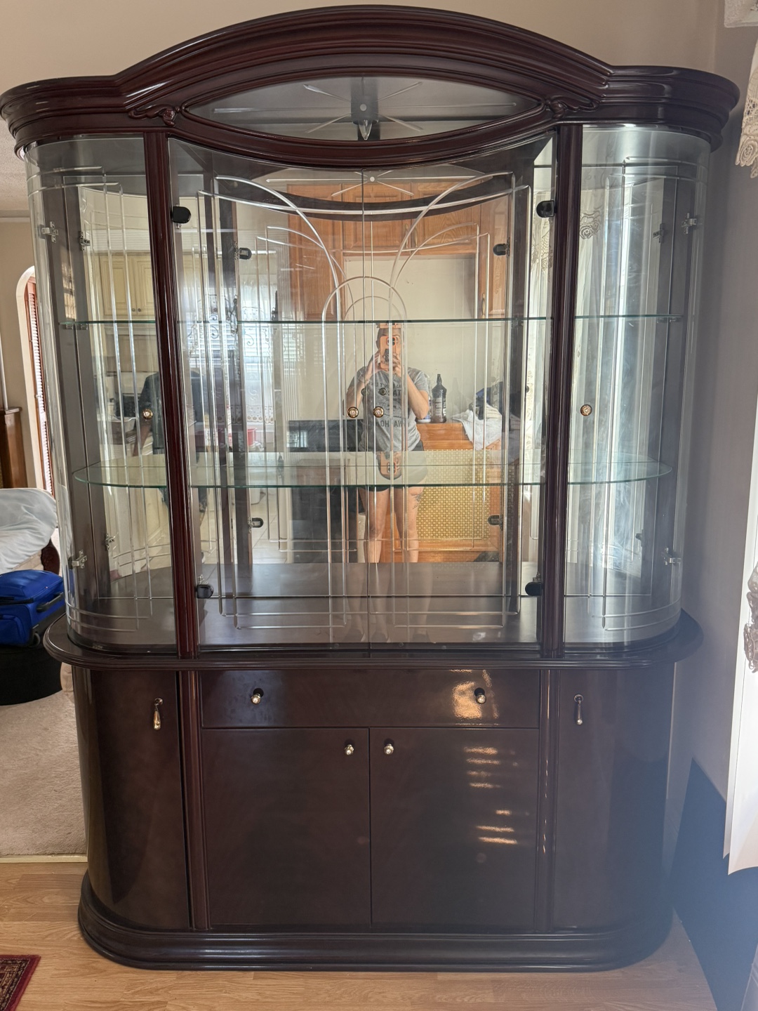 Elegant Dark Wood & Glass Curio Cabinet - photo 4