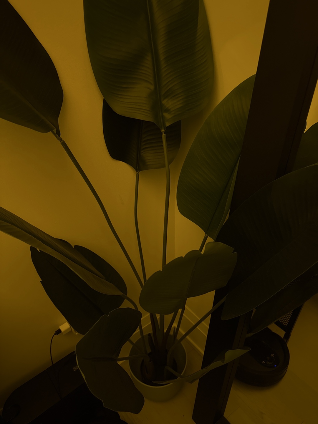 2 artifical bird of paradise plants - photo 2