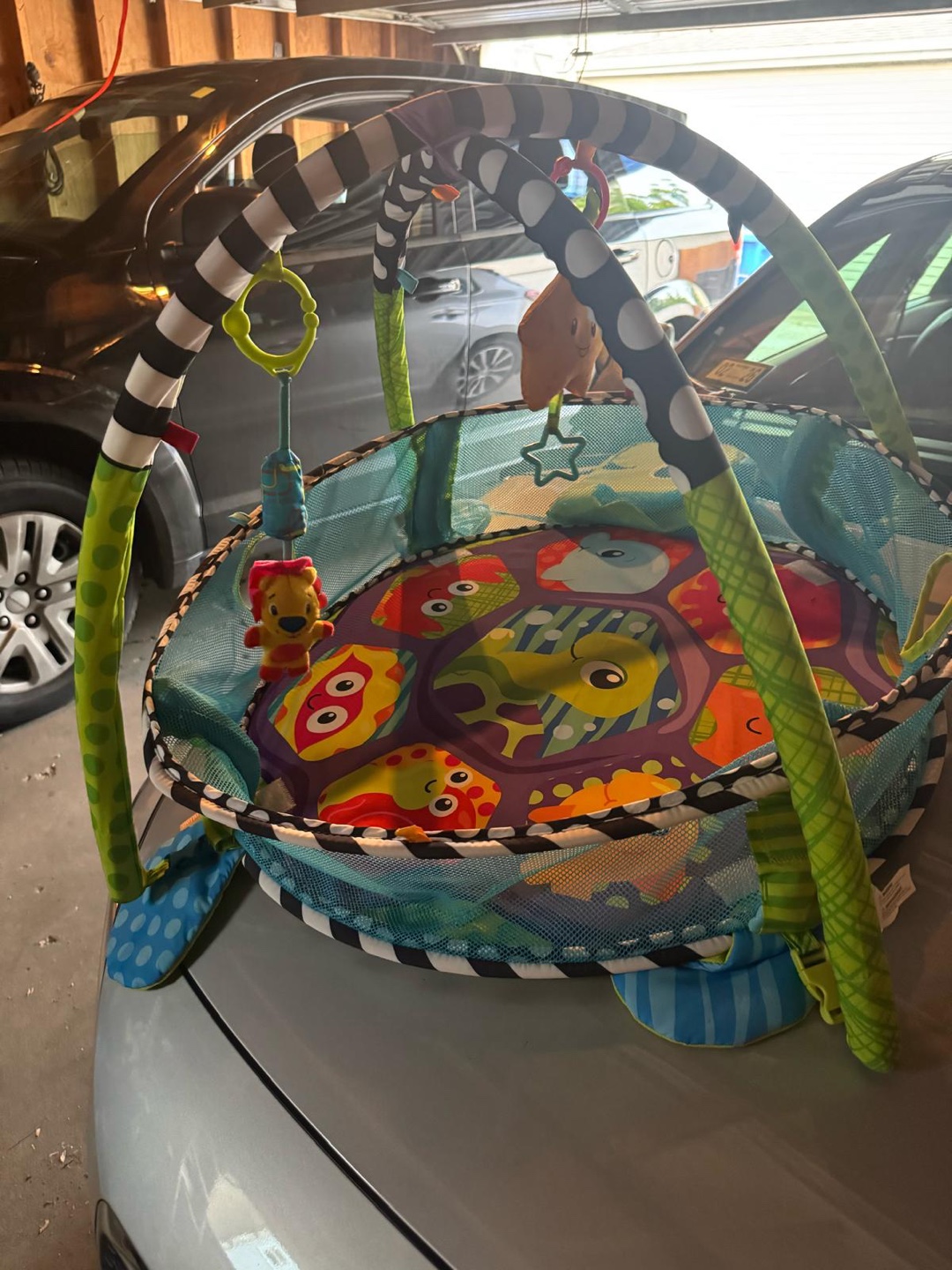 Baby Activity Gym Play Mat