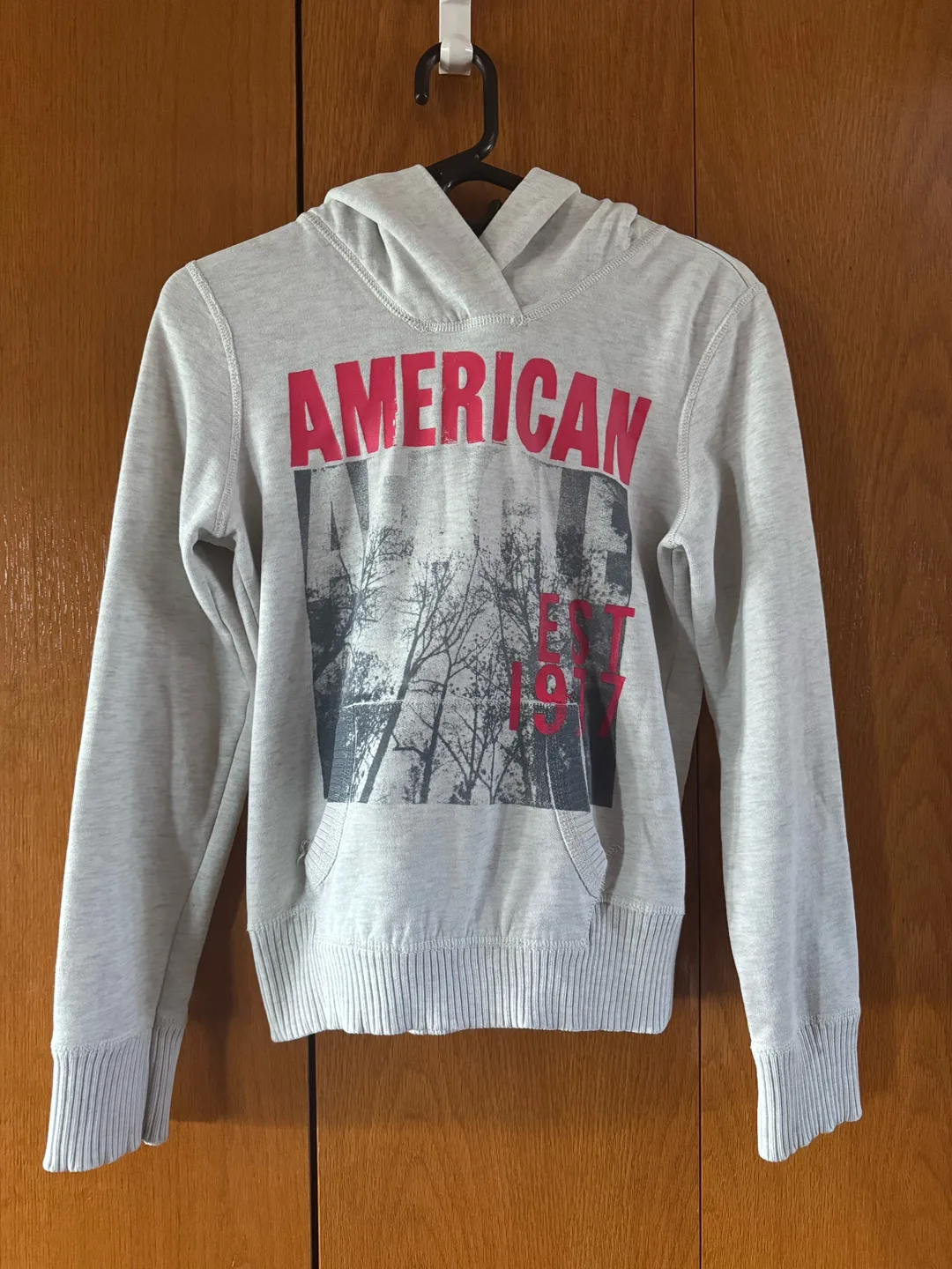 American Eagle Outfitters Hoodie - Size S thumbnail