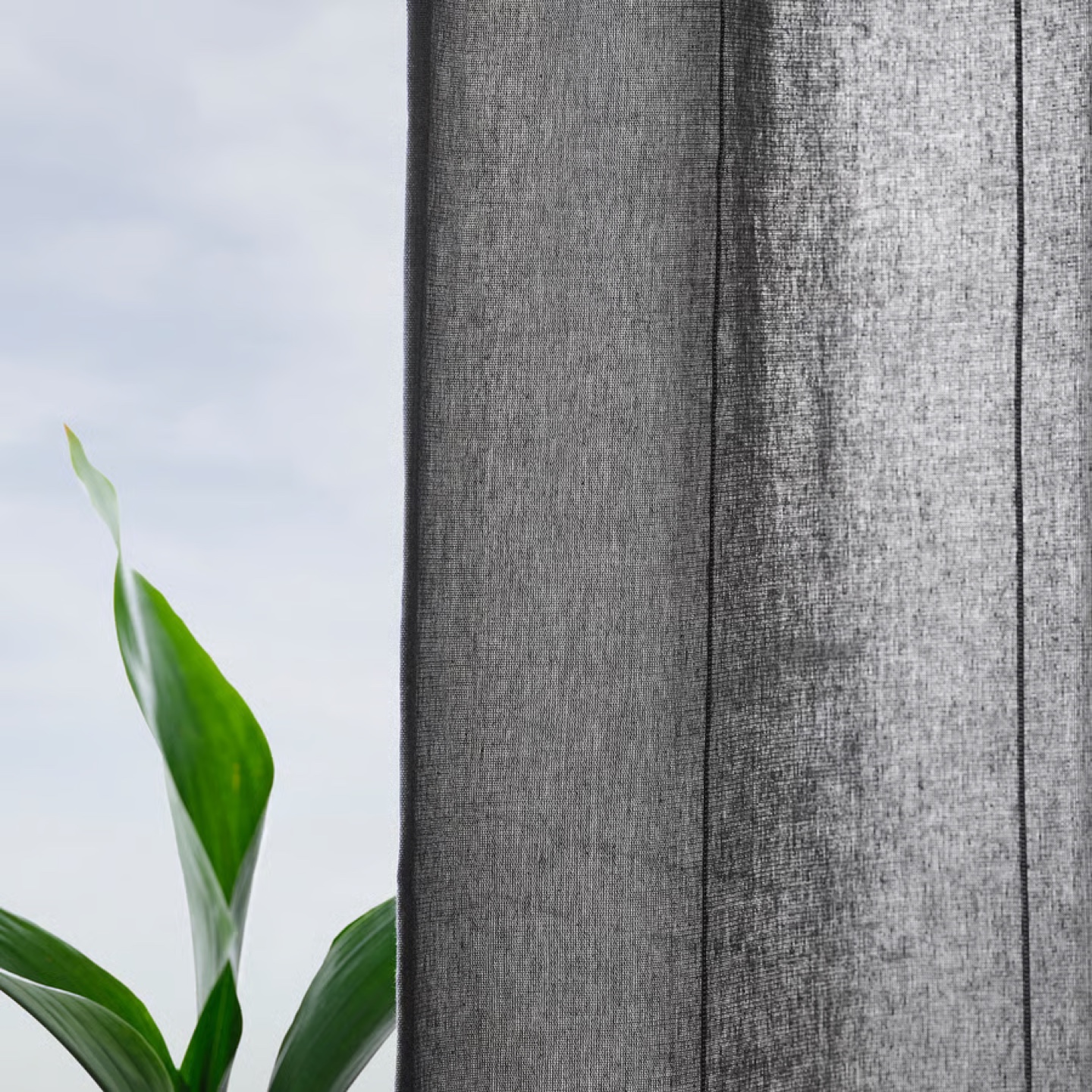MOVE OUT SALE - IKEA Lenda Curtains with Tie-backs - photo 3