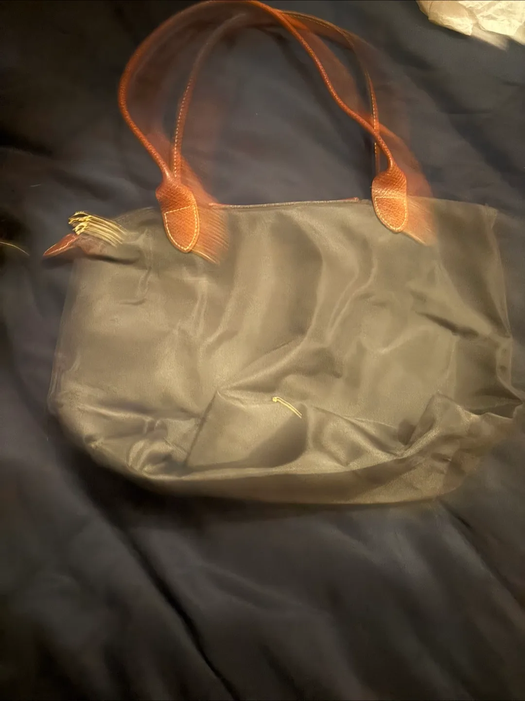 Longchamp Tote Bag image indicator(2)