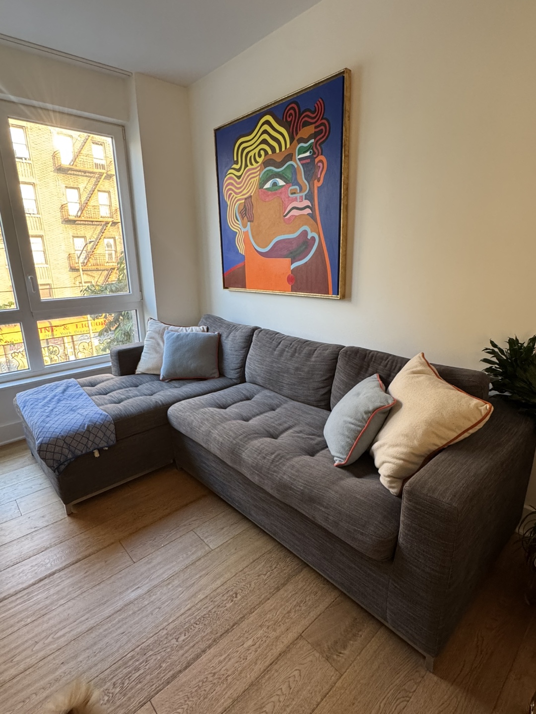 Article Soma Grey Sectional Sofa with Pullout Bed
