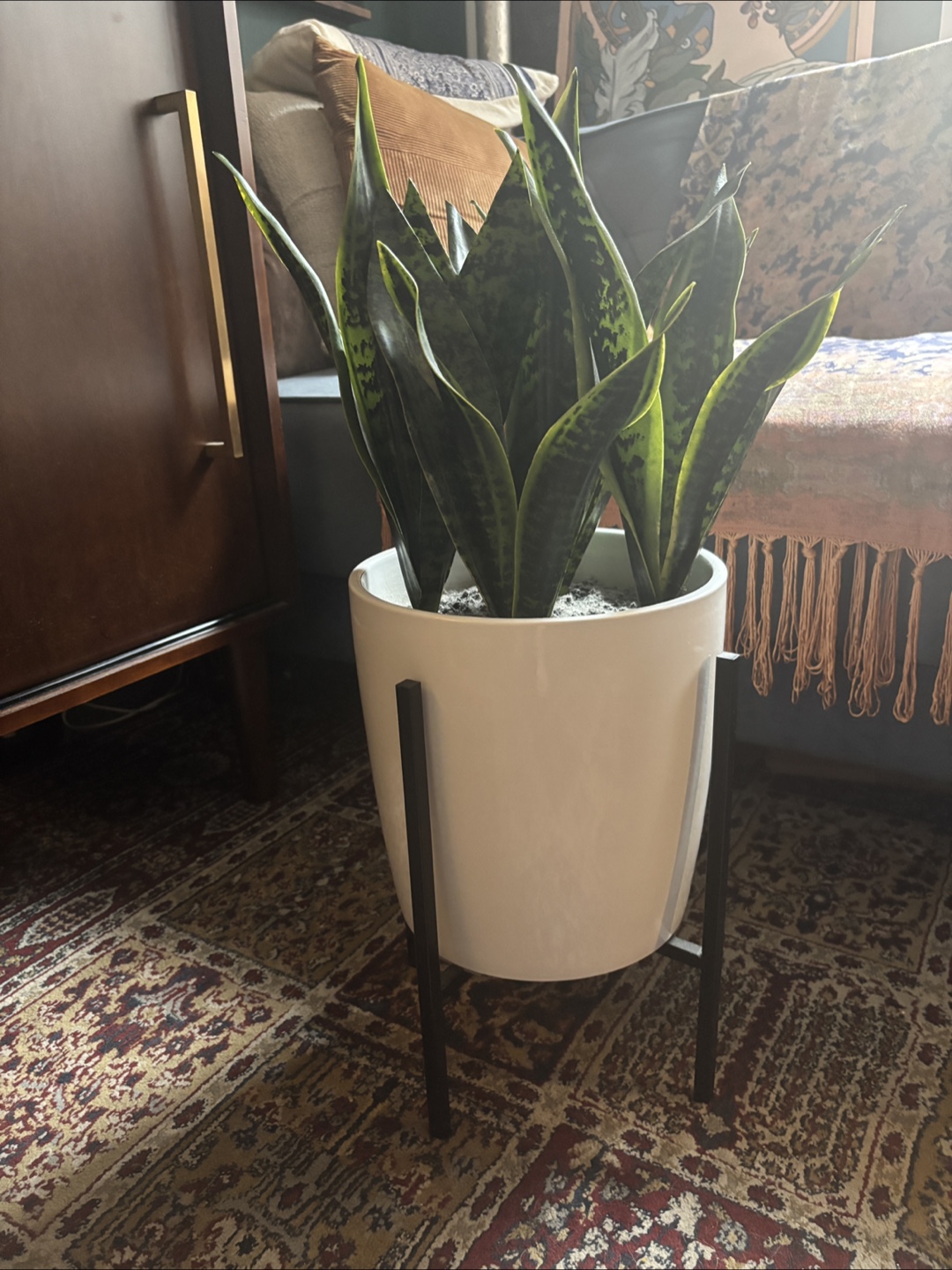 Faux Snake Plant in White Planter with Stand - 24" Tall - photo 2