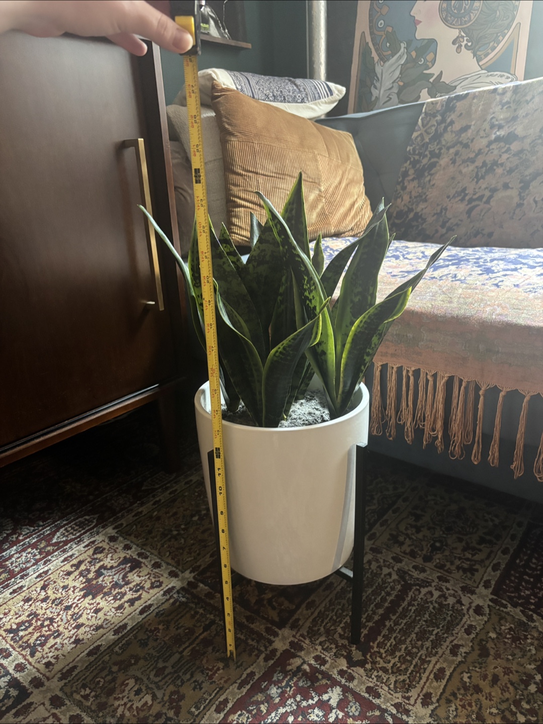 Faux Snake Plant in White Planter with Stand - 24" Tall - photo 3