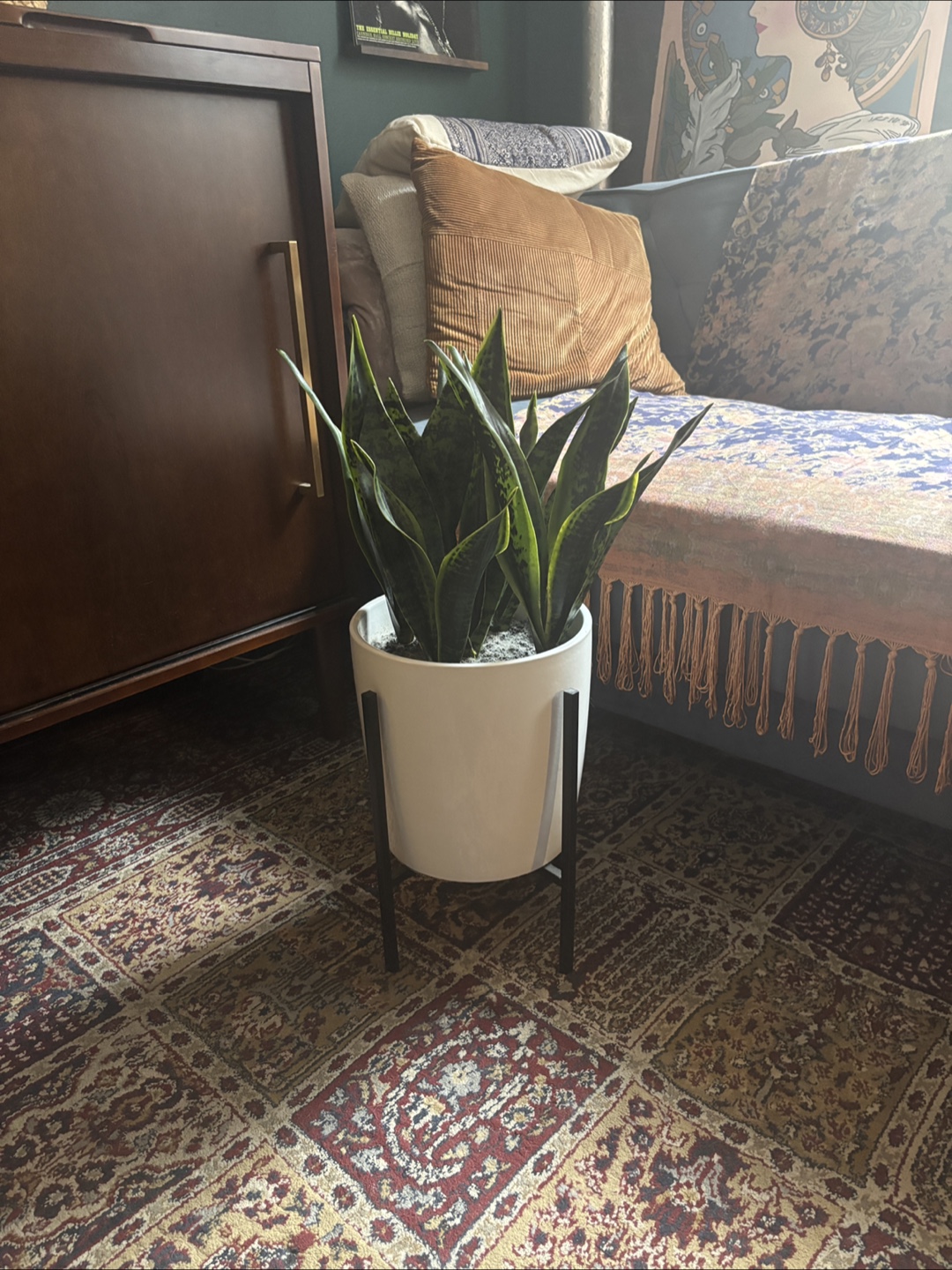 Faux Snake Plant in White Planter with Stand - 24" Tall