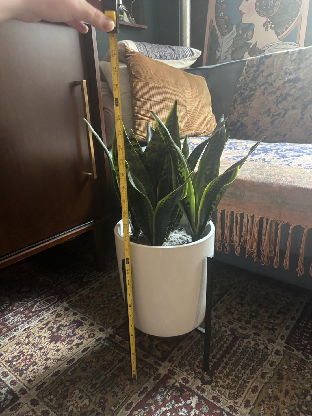 Faux Snake Plant in White Planter with Stand - 24" Tall - photo 4