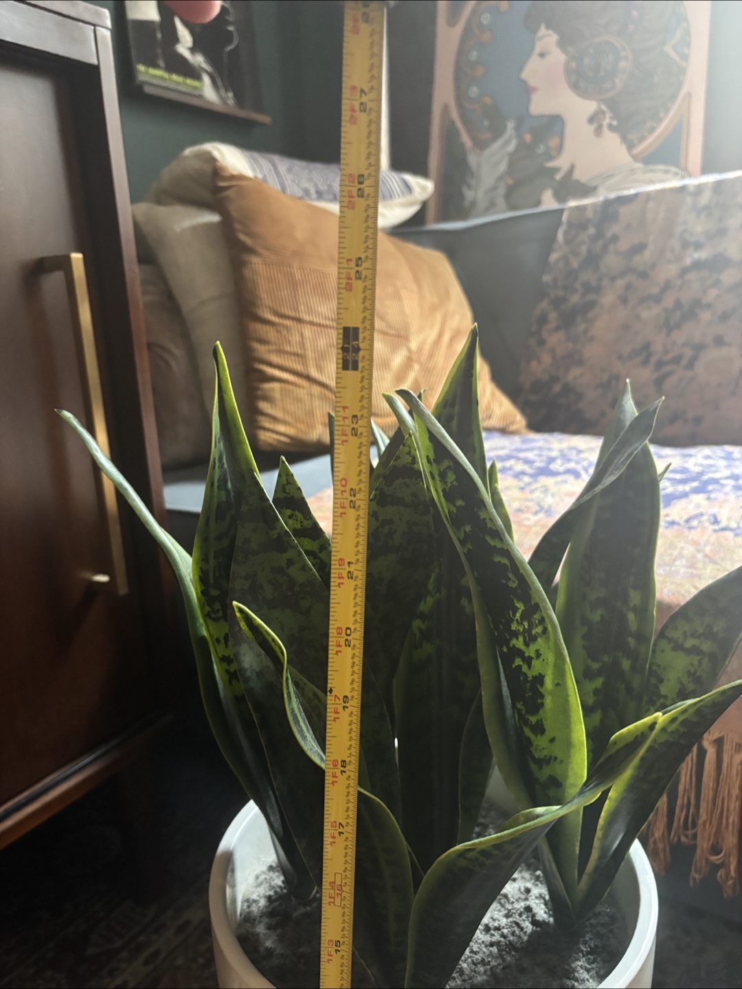 Faux Snake Plant in White Planter with Stand - 24" Tall - photo 5