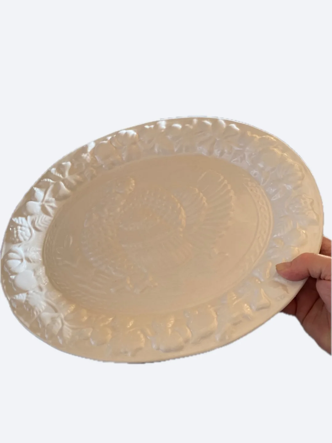 Turkey Platter thumbnail