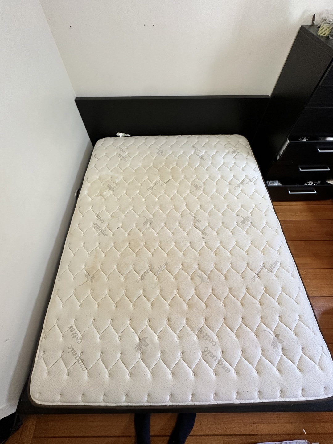 IKEA Malm Queen Bed Frame - black + Serta Mattress