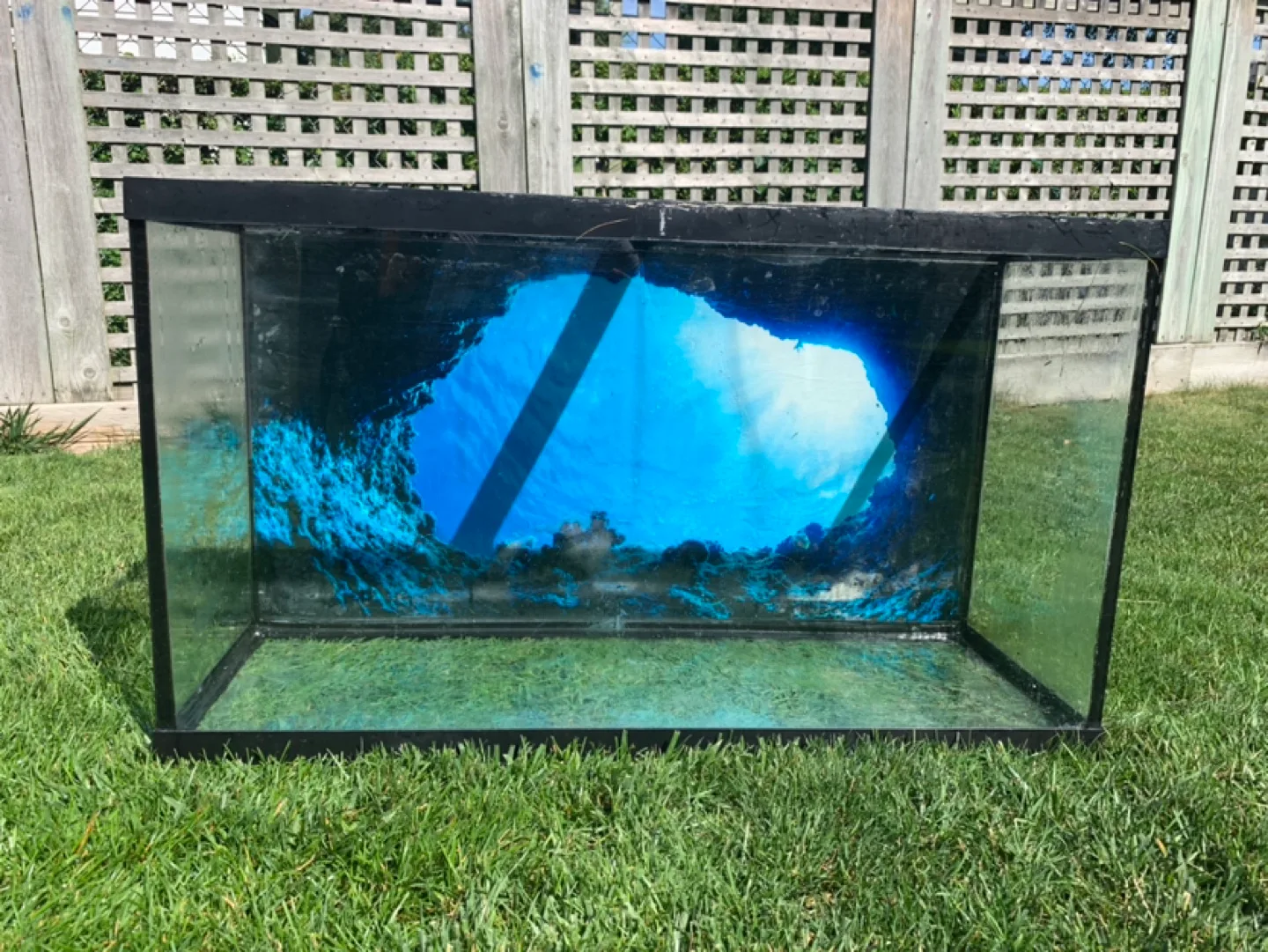 Glass Fish Tank thumbnail