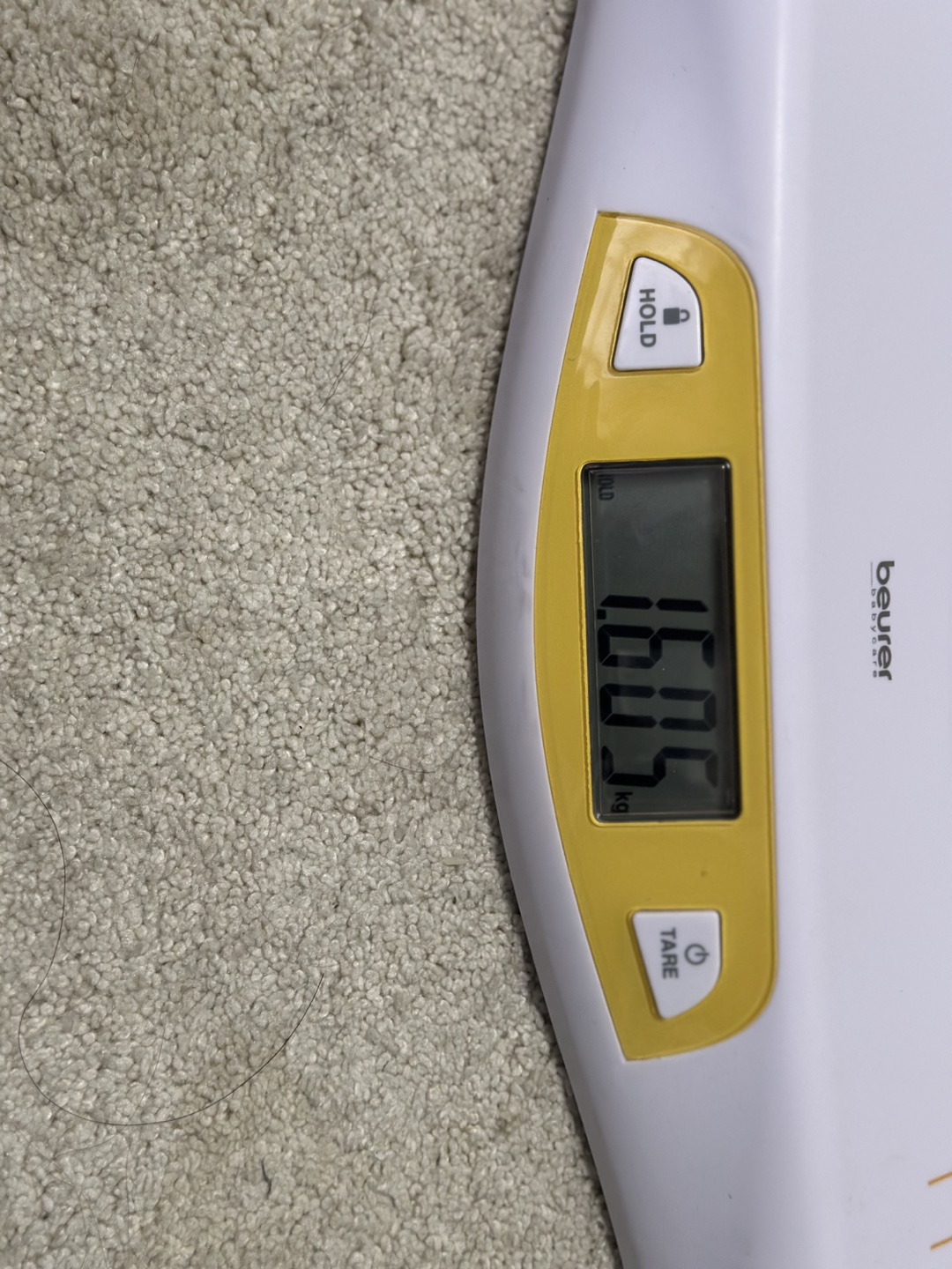 Beurer Baby Scale