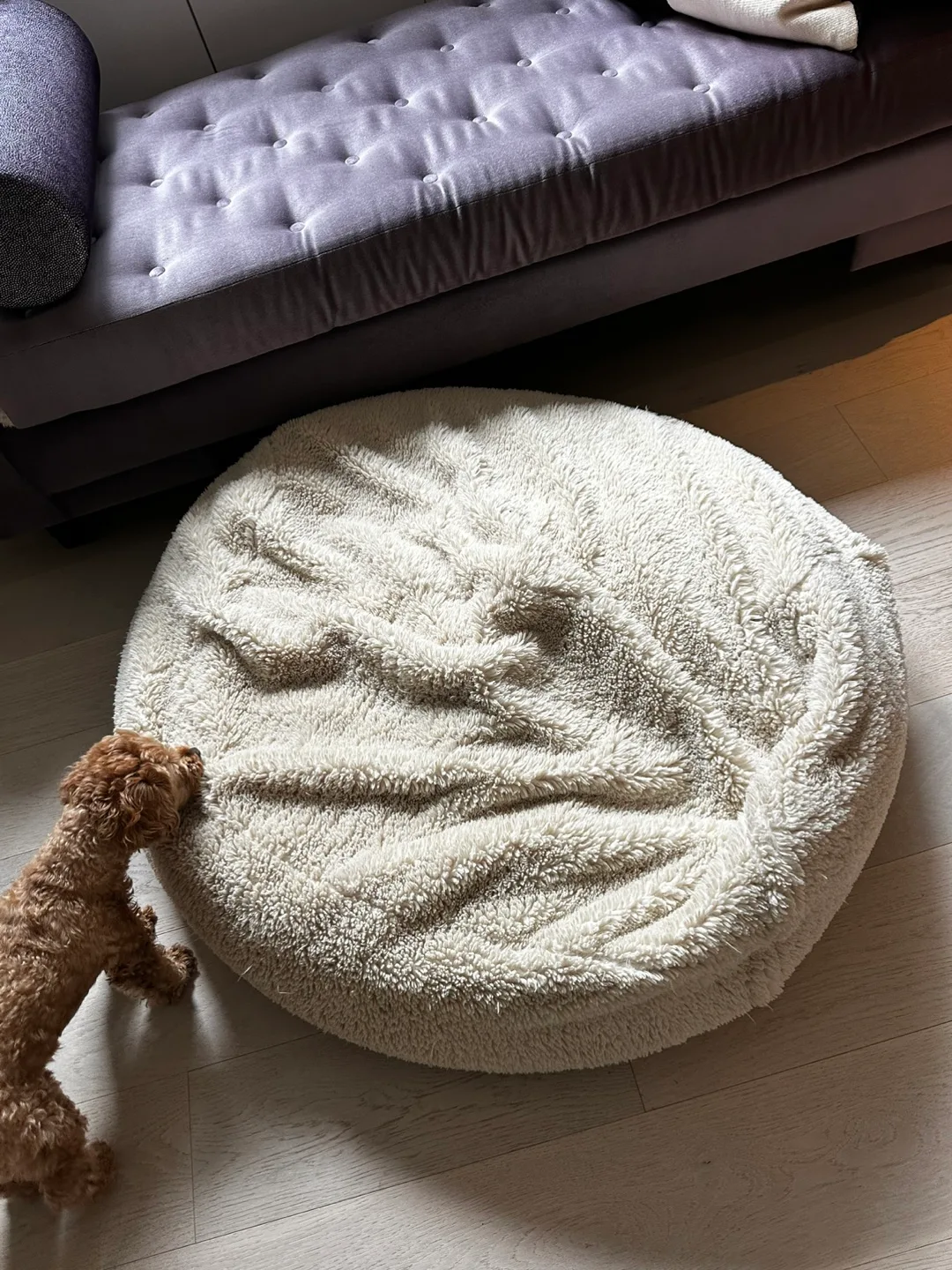 Pottery Barn Cozy  Faux Fur Bean Bag thumbnail