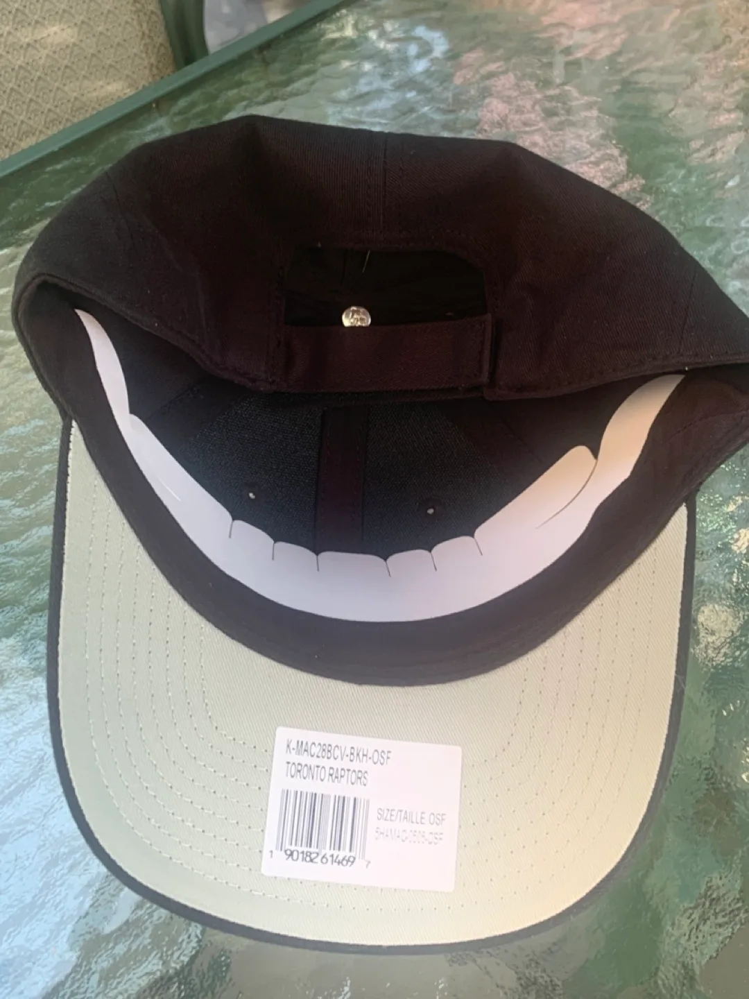 Toronto Raptors Fan Favorite OSFA Baseball Cap image indicator(9)