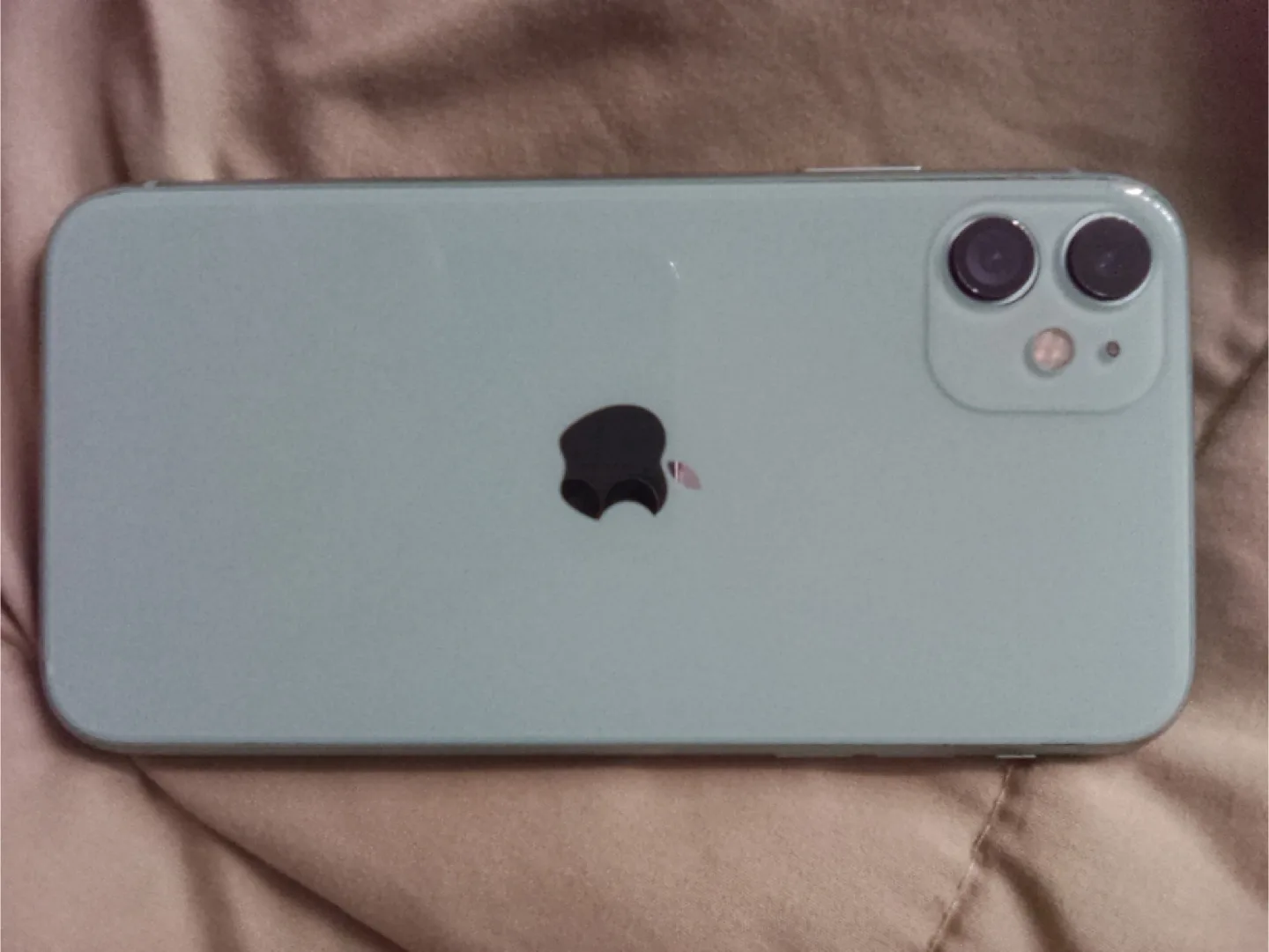 Apple iPhone 11 - Green (READ DESCRIPTION) image indicator(3)