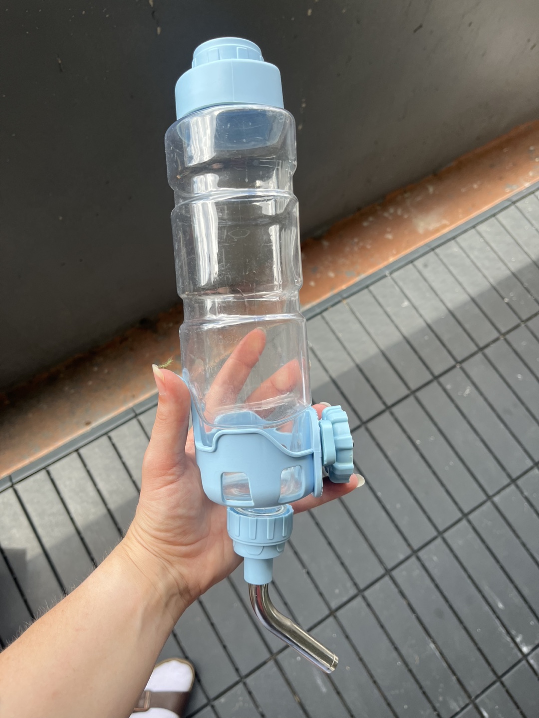 Small rodent Water Bottle dispenser - Blue