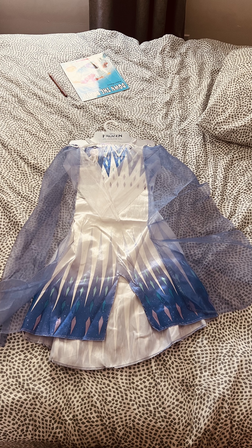 Frozen Elsa Dress Up Costume