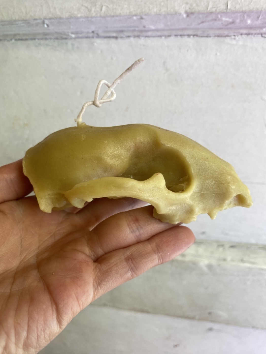 Raccoon Skull beeswax Candles - photo 2