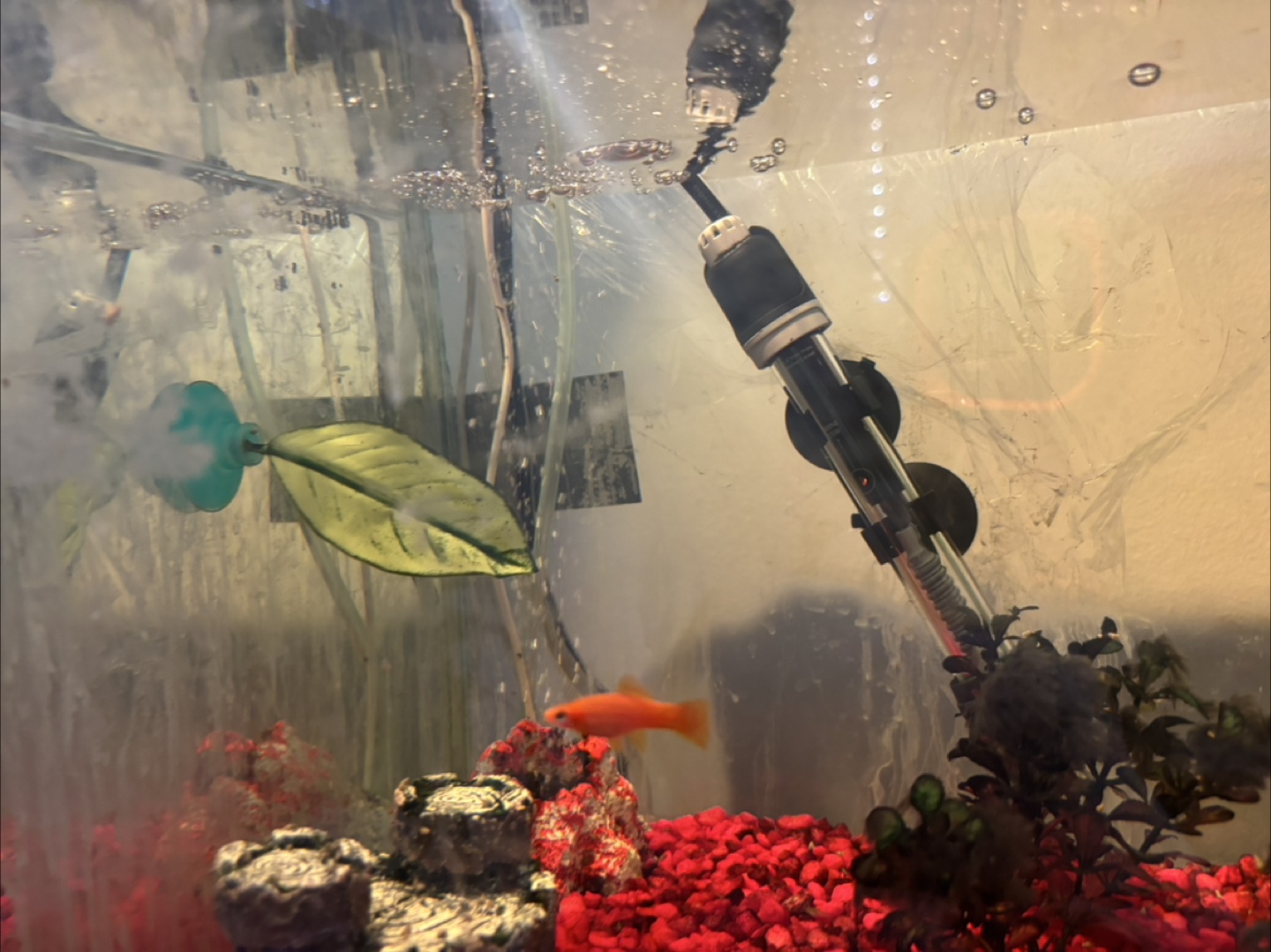 Fish tank with accessories - photo 3