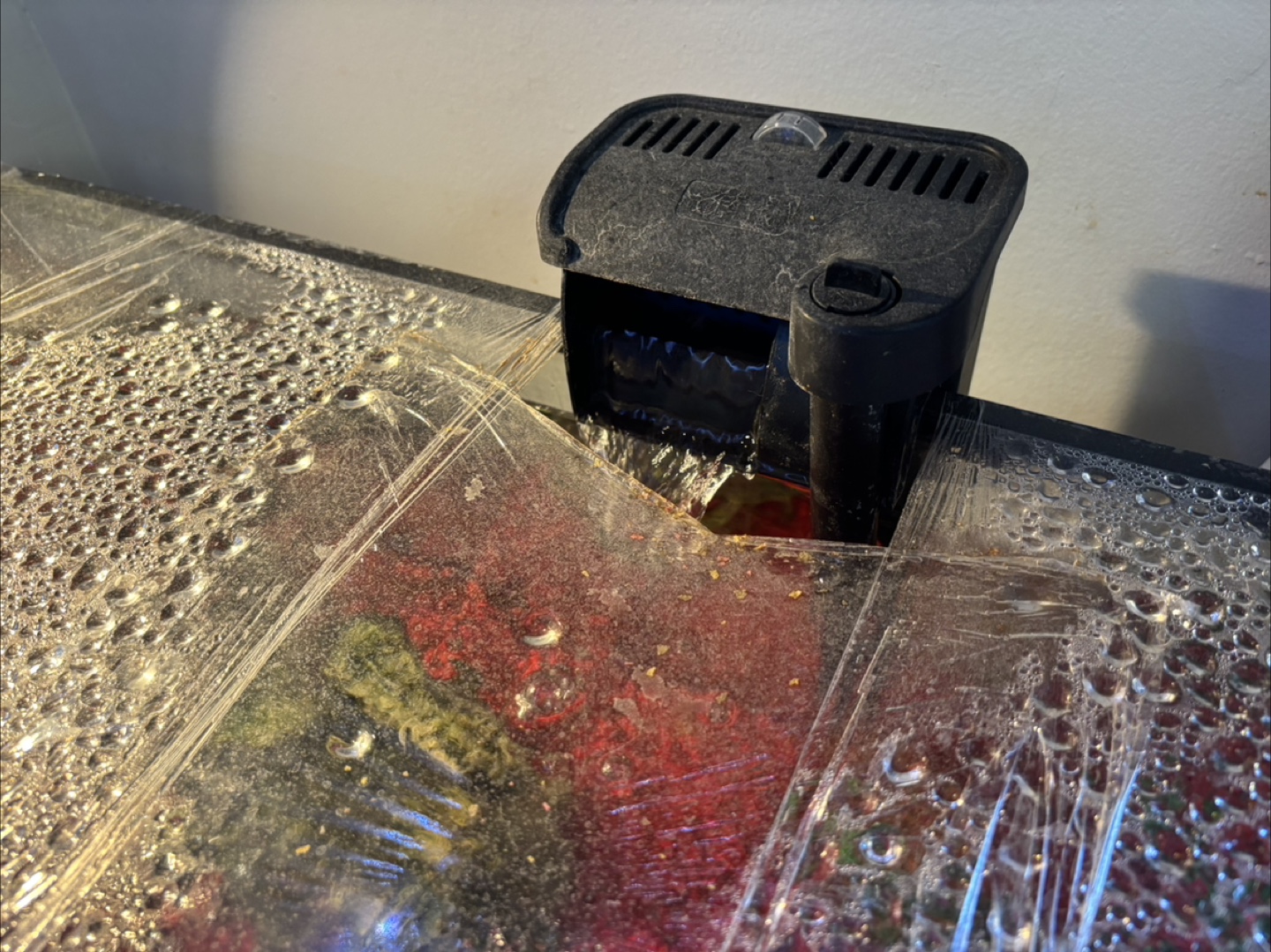 Fish tank with accessories - photo 2