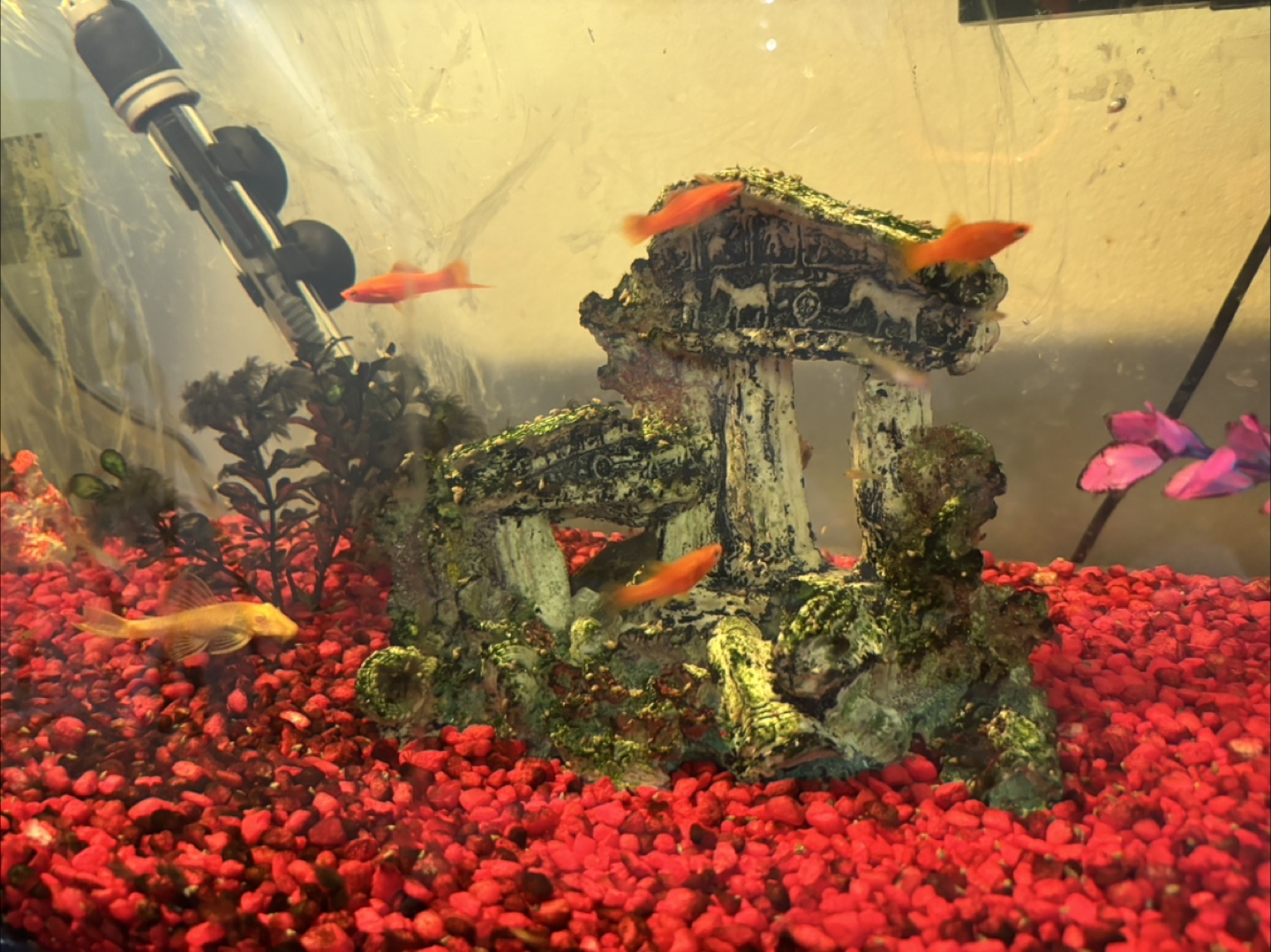 Fish tank with accessories - photo 5