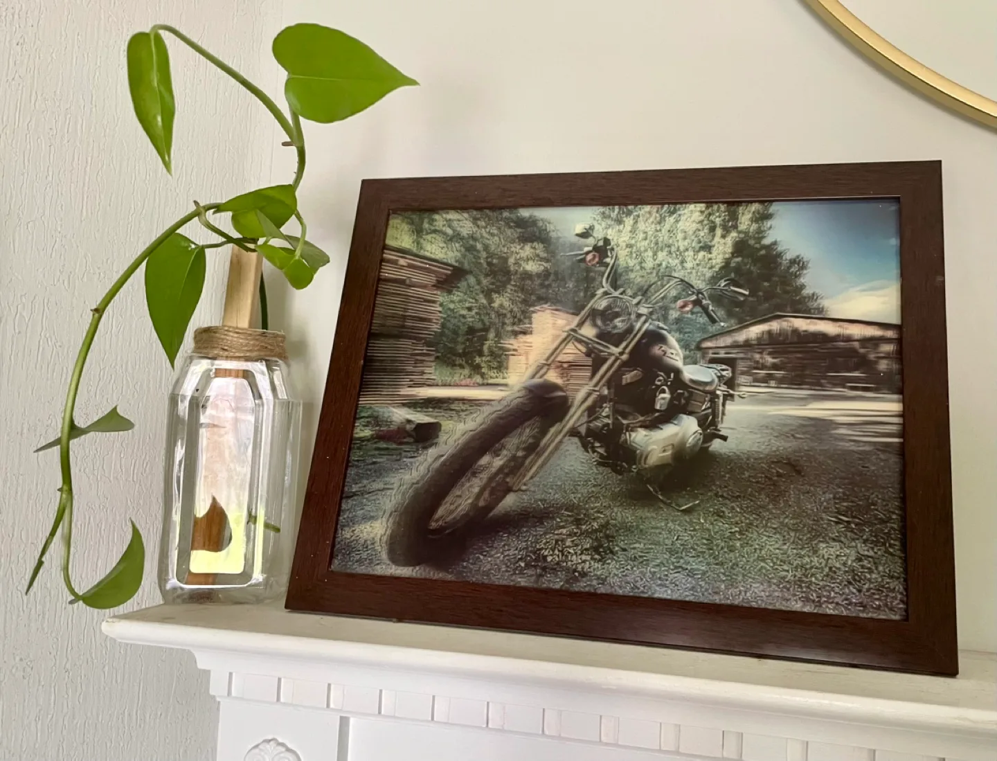3D frame vintage pic with growing plant 🪴 thumbnail