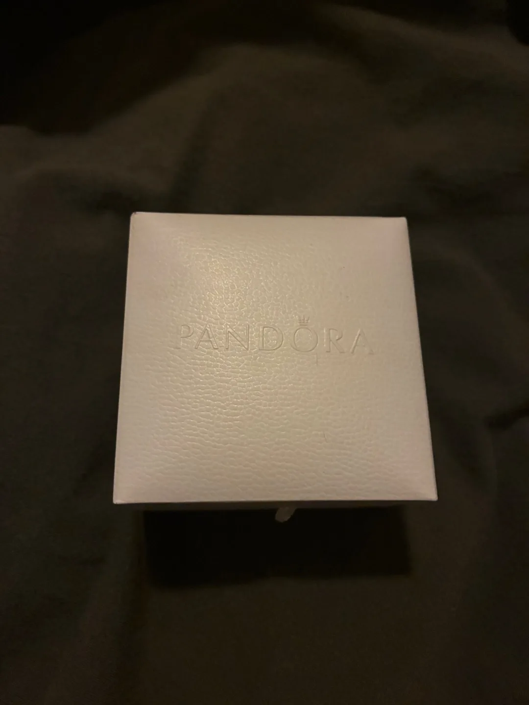 Pandora Charm Bracelet image indicator(4)