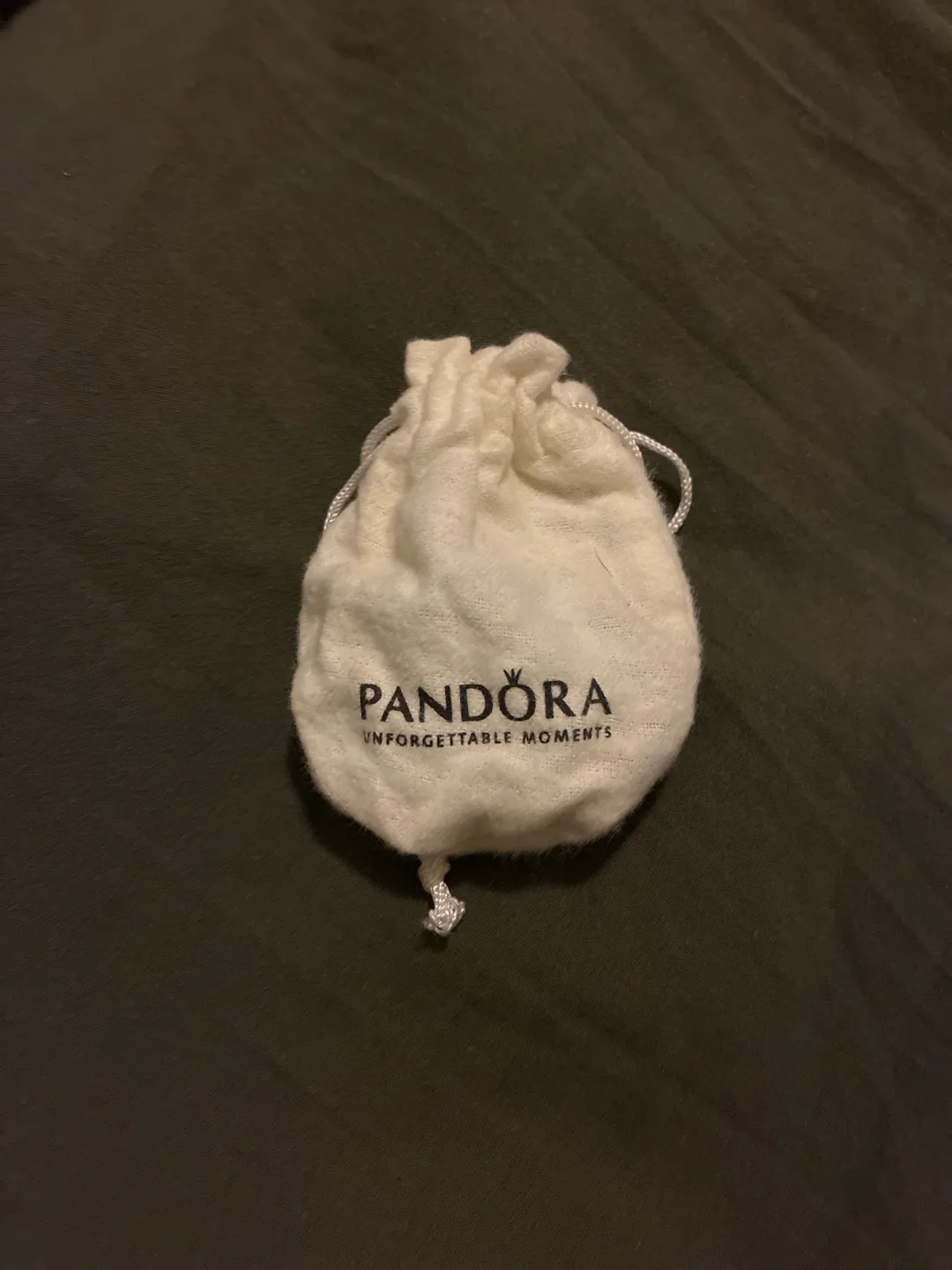 Pandora Charm Bracelet image indicator(3)