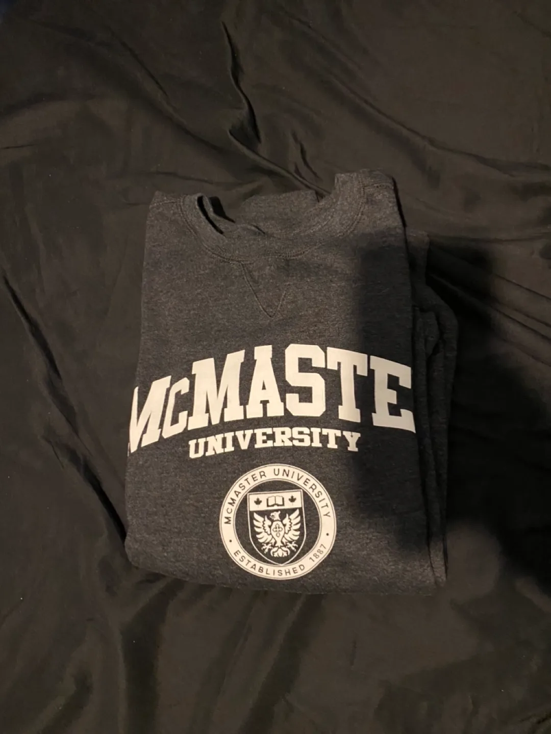McMaster University Crewneck - Large image indicator(2)