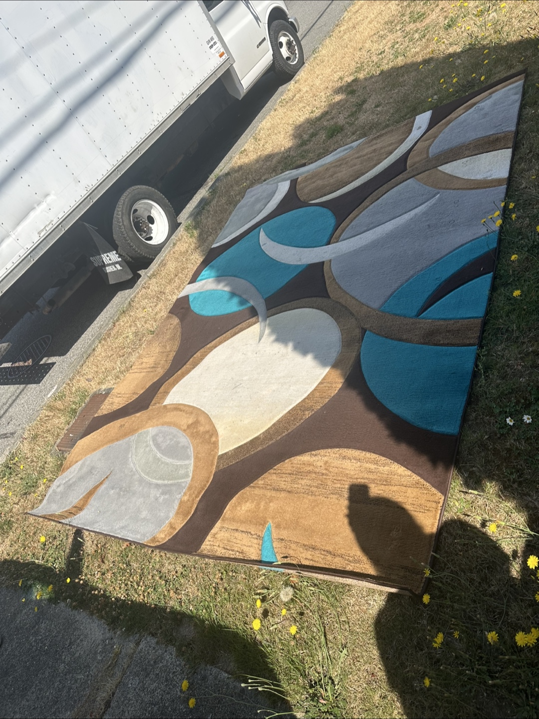 Rug (FREE DELIVERY)