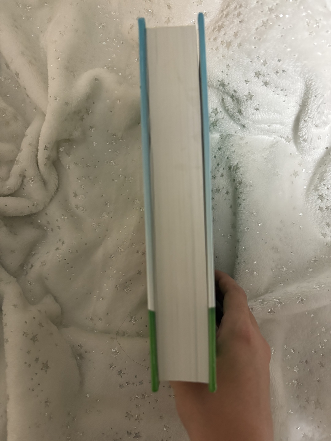 The Beginner's Bible - photo 2