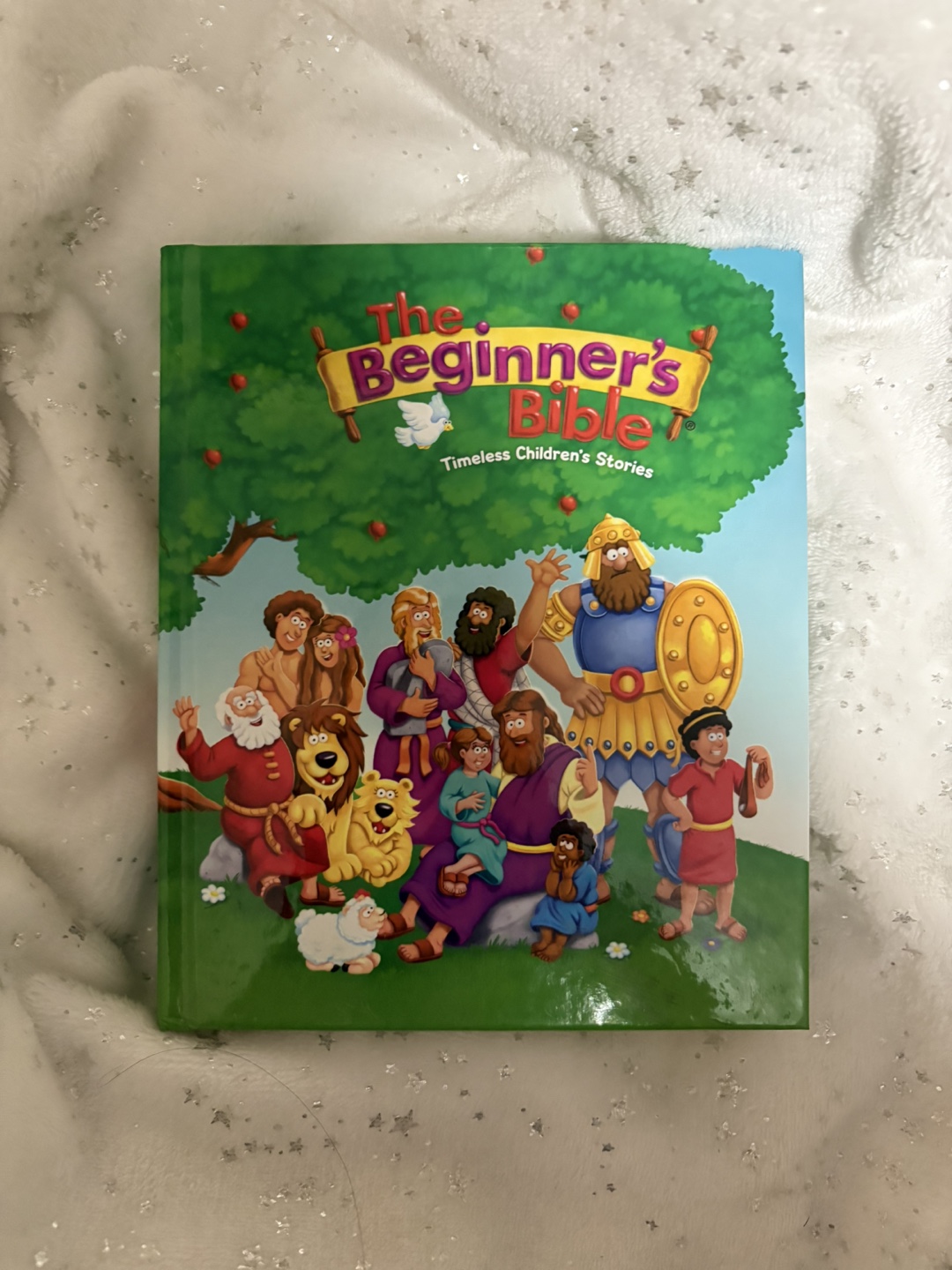 The Beginner's Bible