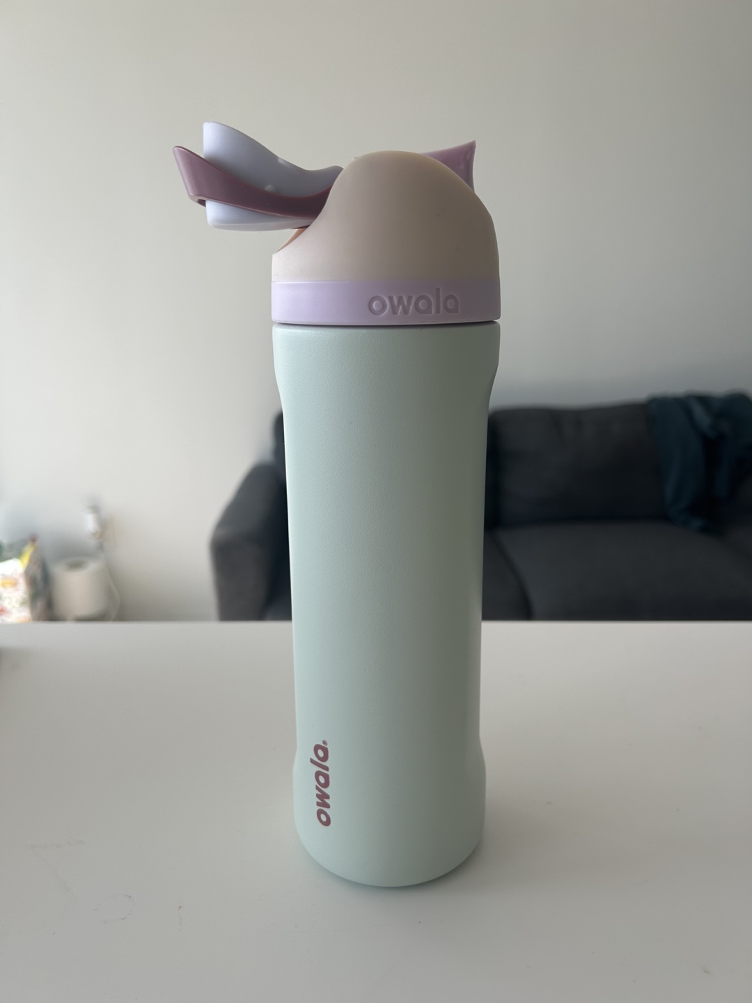Owala Water Bottle - Mint